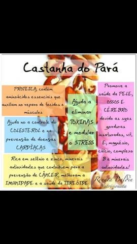 Castanha do Pará - Foto 2