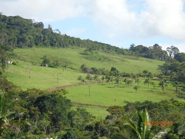 Vende fazenda de Cacau com 278 Ha - Camamu - BA - Foto 8