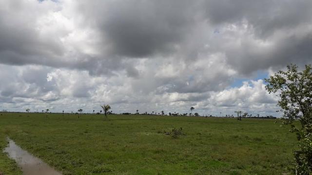 Ótima fazenda med. 3.900 hectares na Br 317