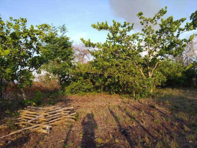 Terreno no São Bento - Foto 5