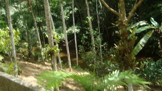 Sitio marechal floriano 2 hequitares - Foto 10
