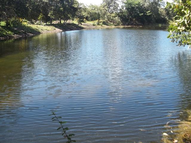 Fazenda as margem da BR 222 a 01 km de Batalha ? PI - Foto 7