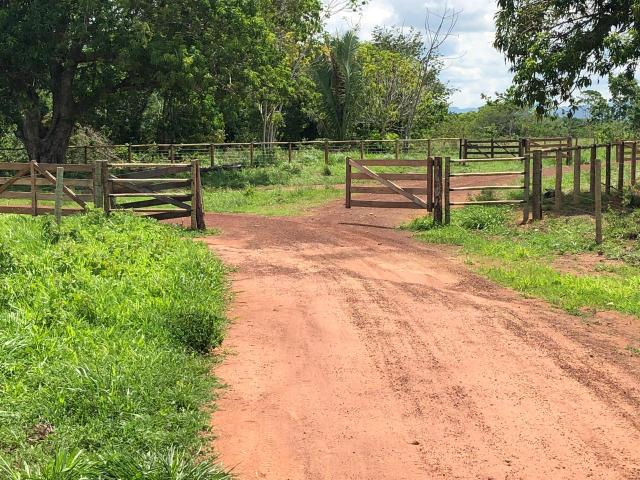 Fazenda 1.163 hectares em Livramento MT - Foto 6