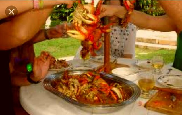 Caranguejo para revenda $ 1.99