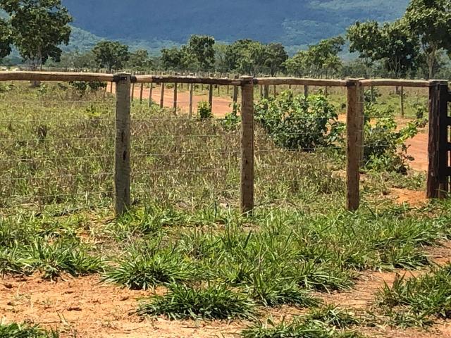 Fazenda 1.163 hectares em Livramento MT - Foto 11