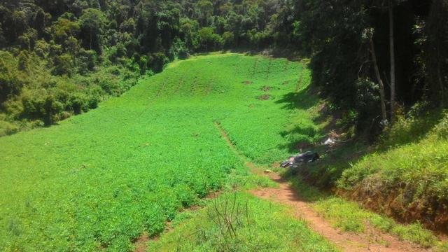 Lindo terreno de 2,8 hectares em Delfim Moreira Sul de Minas Gerais