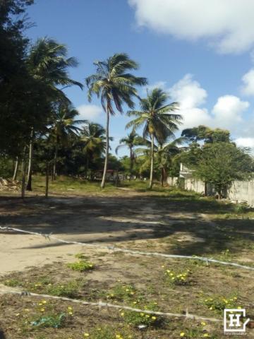 Terreno à venda! no mosqueiro