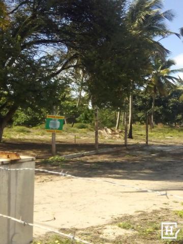 Terreno à venda! no mosqueiro - Foto 4