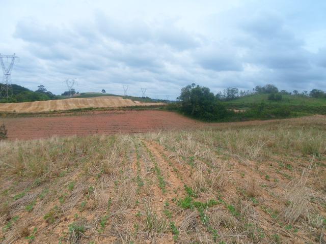 Terreno 48400m2 - Foto 2