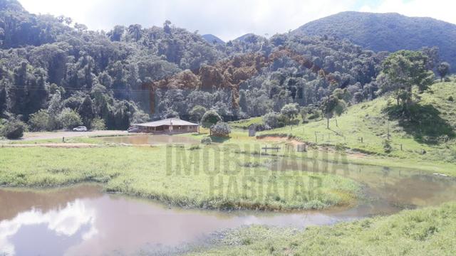 Fazenda de 100 alqueires paulistas, Campina Grande do Sul / PR - Foto 4
