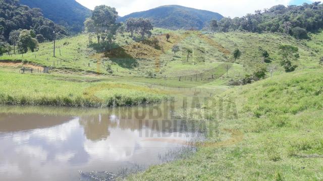 Fazenda de 100 alqueires paulistas, Campina Grande do Sul / PR - Foto 8
