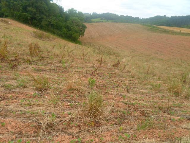 Terreno 48400m2 - Foto 4