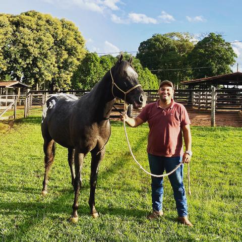Cobertura de Appaloosa da pelagem mais desejada!!! - Foto 3