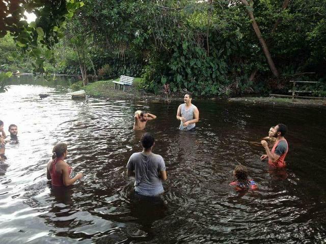 Alugo sítio/chácara para passar um dia diferente com seus amigos e familiares - Foto 10