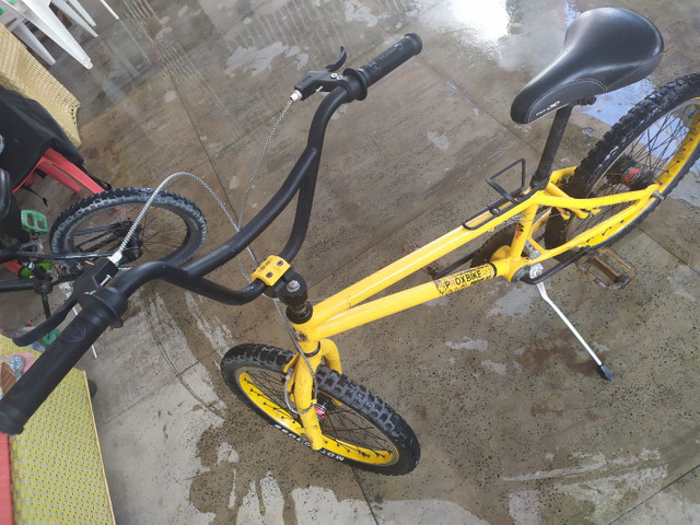 Bicicleta de manobrar! Flair aro 20