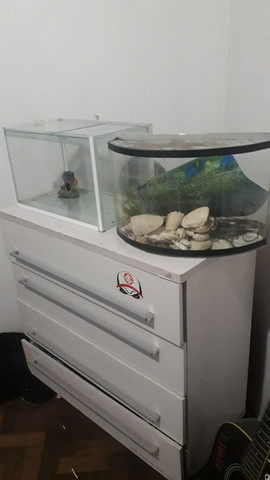Troco os dois por um aqua maior, o branco tem 45L o outro quase isso tb - Foto 2