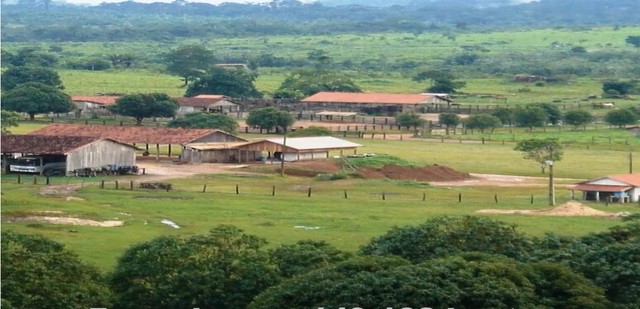Fazenda de 30.812 alqueires em Rondonópolis-MT - Foto 3
