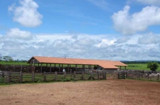 Fazenda de 30.812 alqueires em Rondonópolis-MT - Foto 2