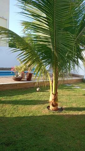 Promoção R$ 1. 200 ,00 de sexta a domingo - Foto 10