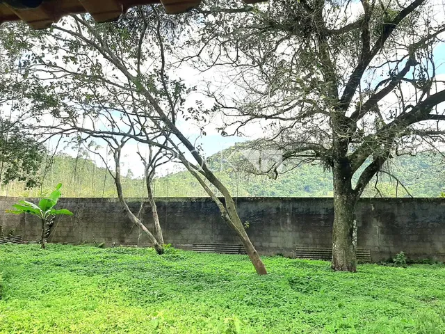 Campinho (Suruí) | Terreno