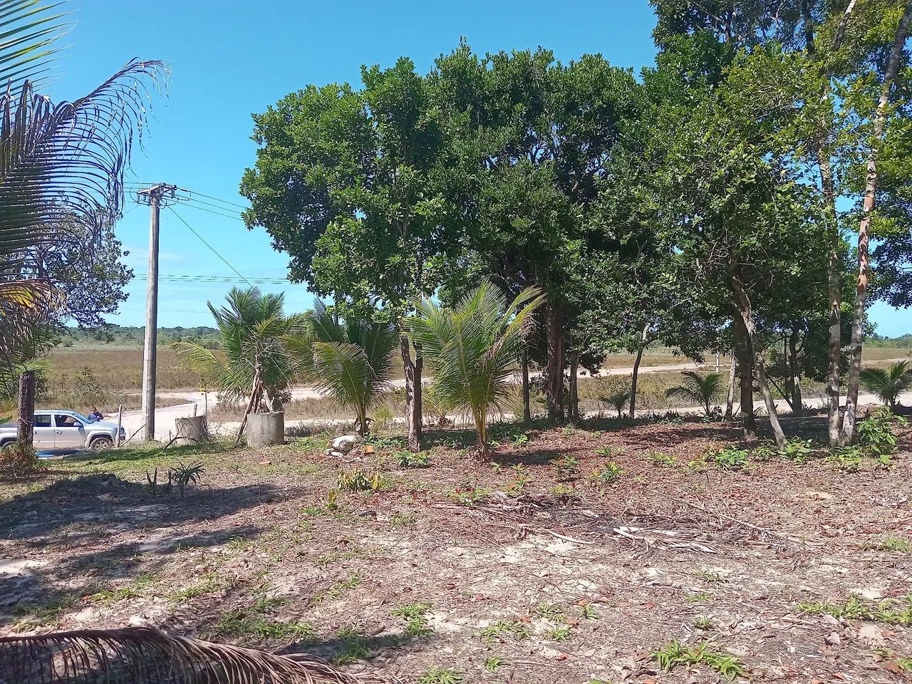 Vendo Sítio 4.3 Hectares  - Foto 4
