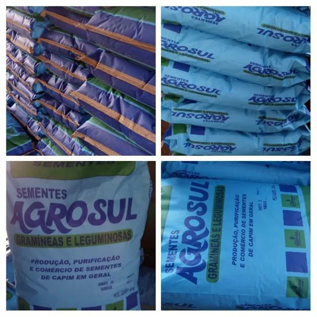 Sementes para pastagem 