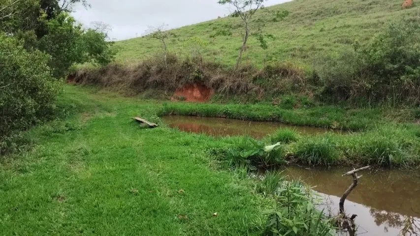 Vendo sítio, 14,6 hectares quase 5 alqueires - Foto 2