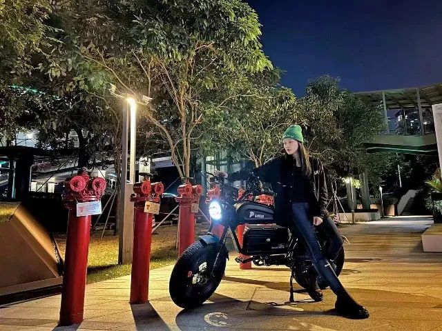 Bicicleta Elétrica Warrior 1500W 60Ah ou 30Ah - Foto 5