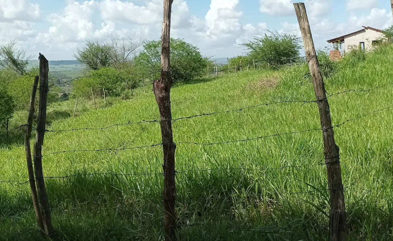 Terreno em Gravatá  - Foto 2