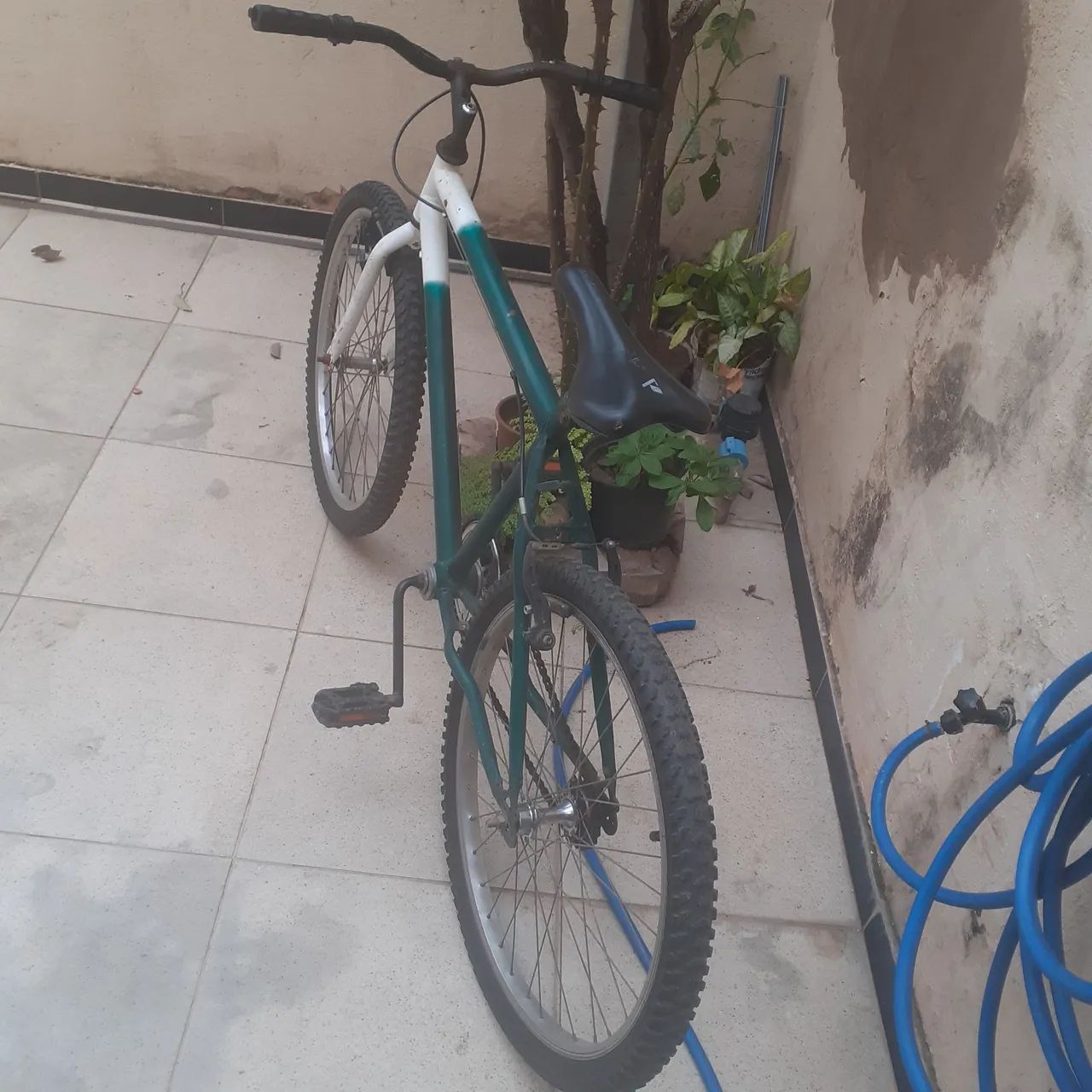 Vendo esta baik tudo ok