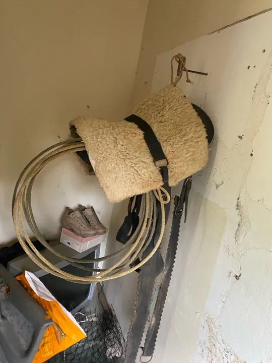 Sela de Montaria em Couro - Usada australiana pego arreio de charrete  - Foto 4