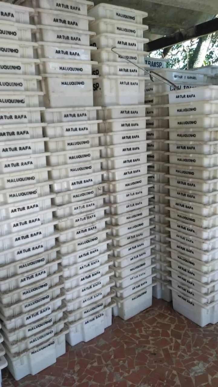 Caixas plásticas pequena furada 20k não é reciclage tenho 900cx só vendo acima de50cx  - Foto 3