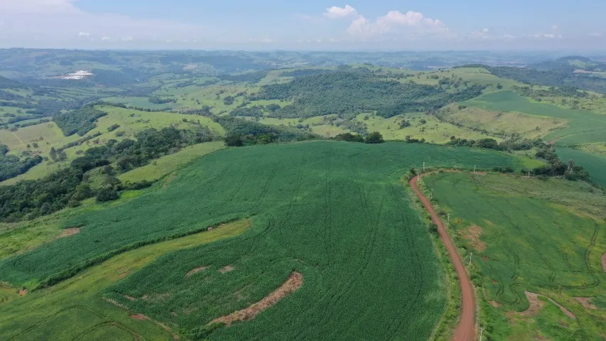 Fazenda lavoura/pecuária