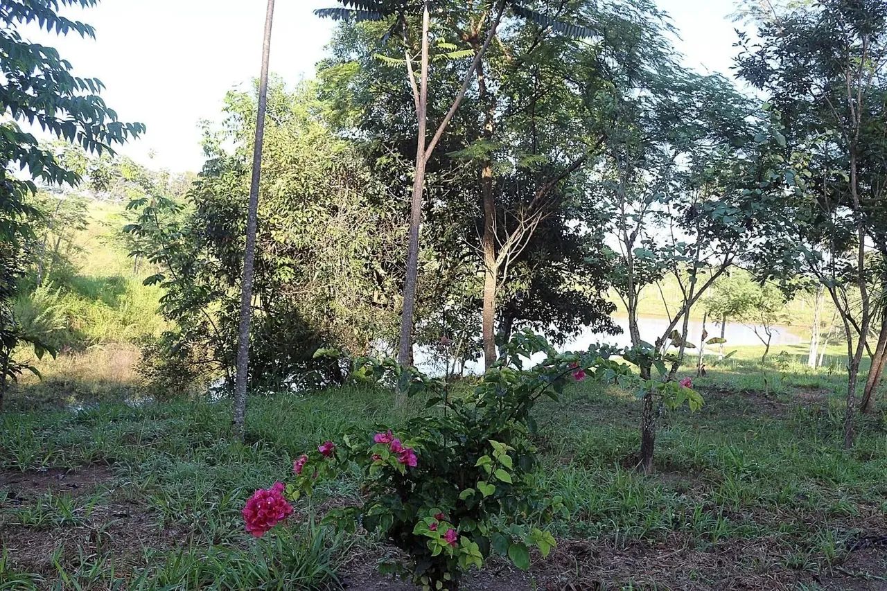 Área à venda no bairro Centro - Bela Vista de Goiás/GO - Foto 5