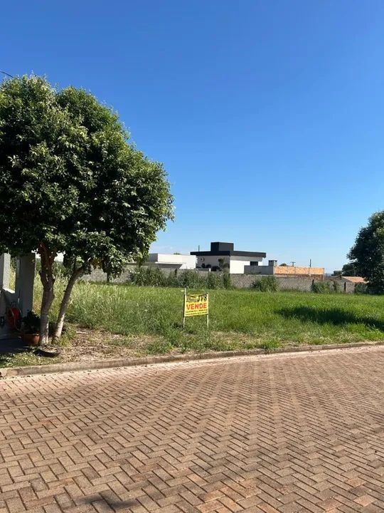 TERRENO CONDOMINIO OASIS DO RIO PARANA - PORTO RICO - Foto 4