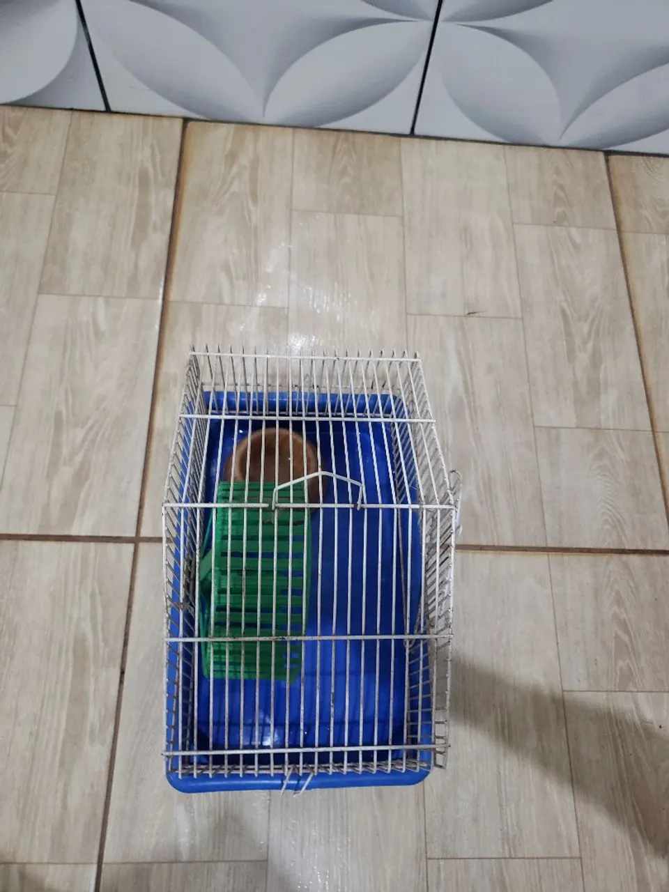 Gaiola - Ideal para seu pet hamster ?