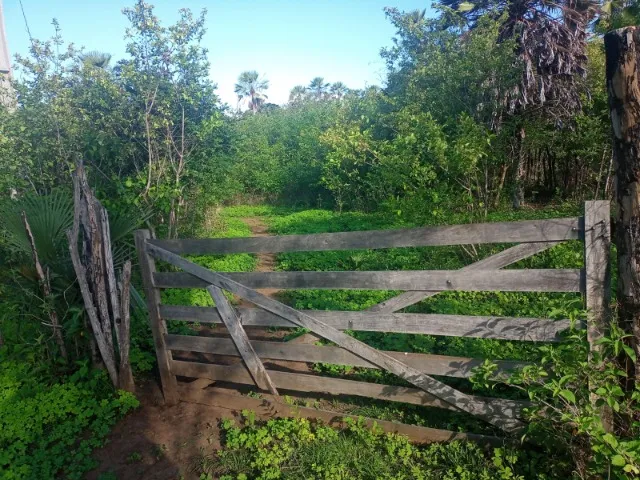 Terreno 21 hectares em Monsenhor Gil-PI