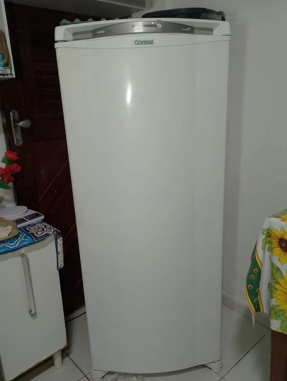 Geladeira frosfree 300 litros