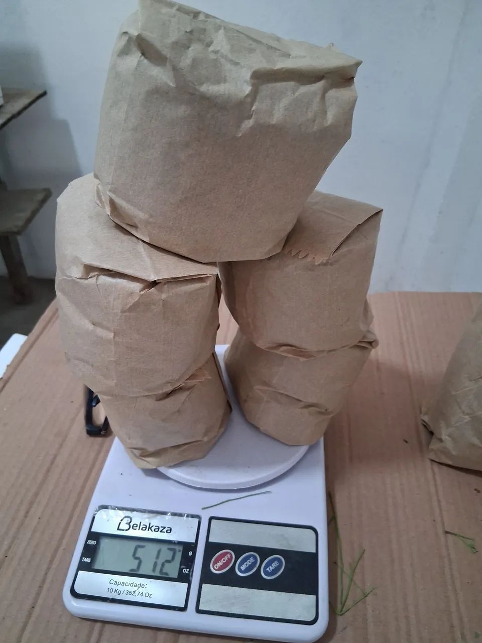 Plantas - Foto 2
