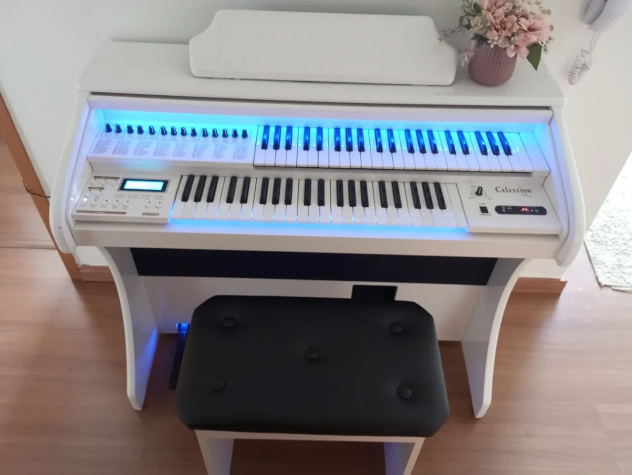 Órgão Musical 