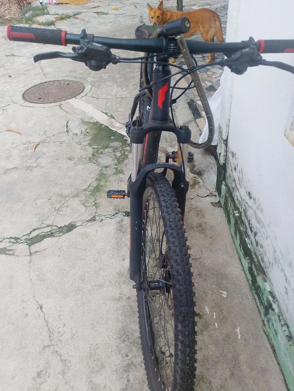 Bicicleta - Foto 3
