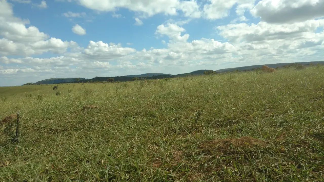 Terreno Cordisburgo - Foto 2