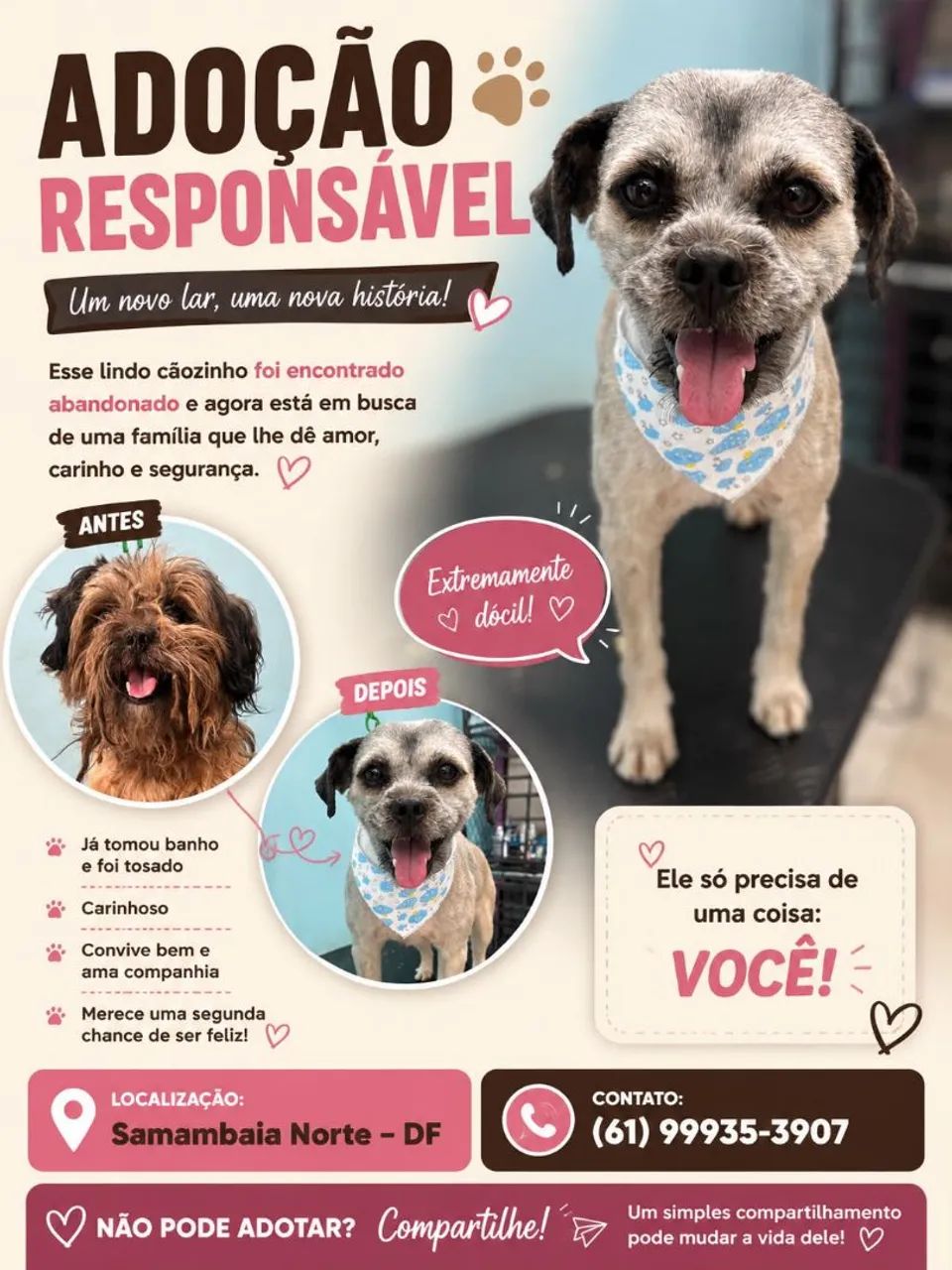 Doação Responsável de Cachorro 