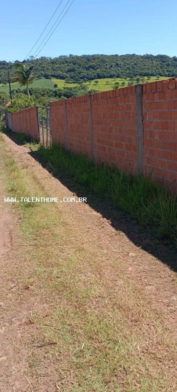 Área Rural para Venda - Foto 4