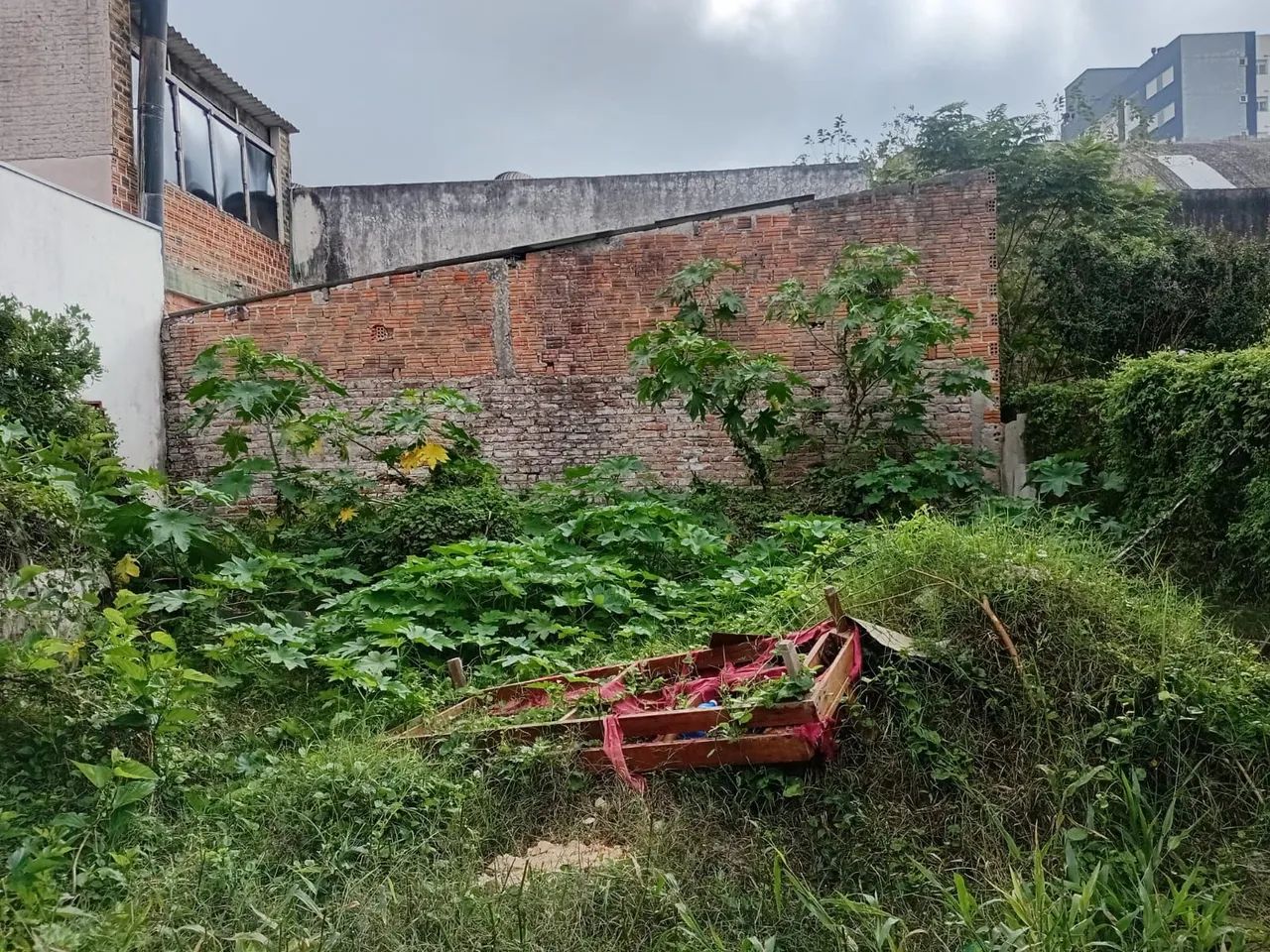 Vendo terreno avenida  Marcilio Dias  - Foto 5