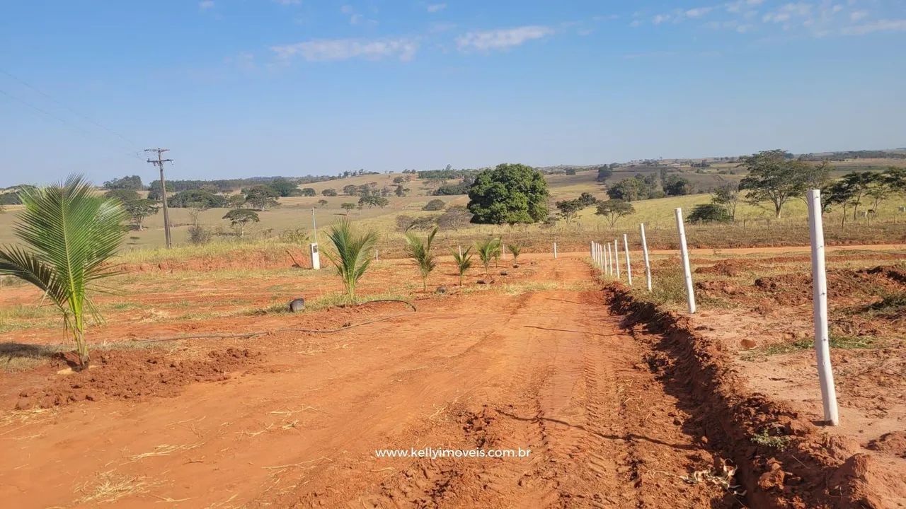 Chacara à venda no municio de Presidente Bernardes - SP - Foto 5