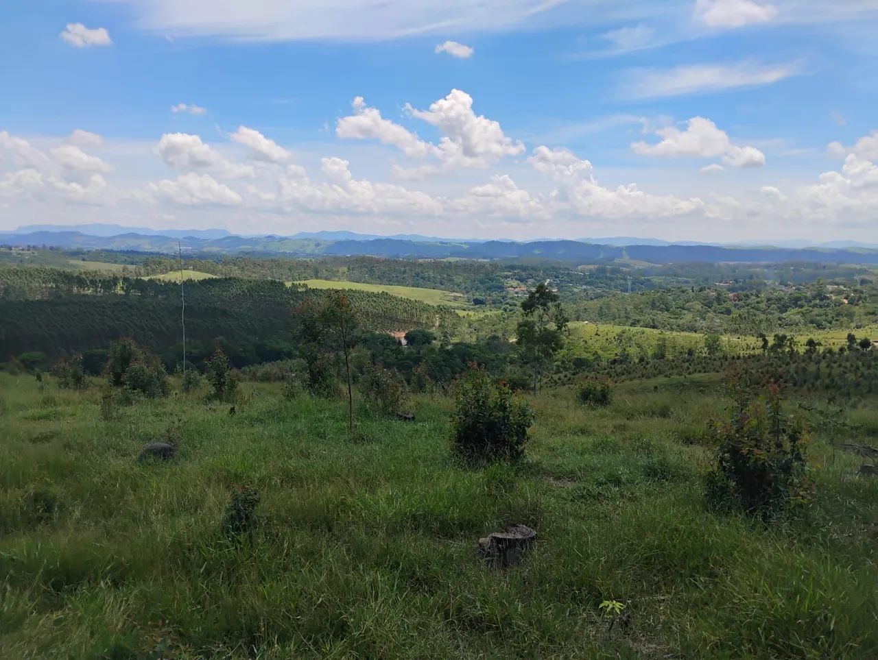 Chácara a venda no Maracatu 