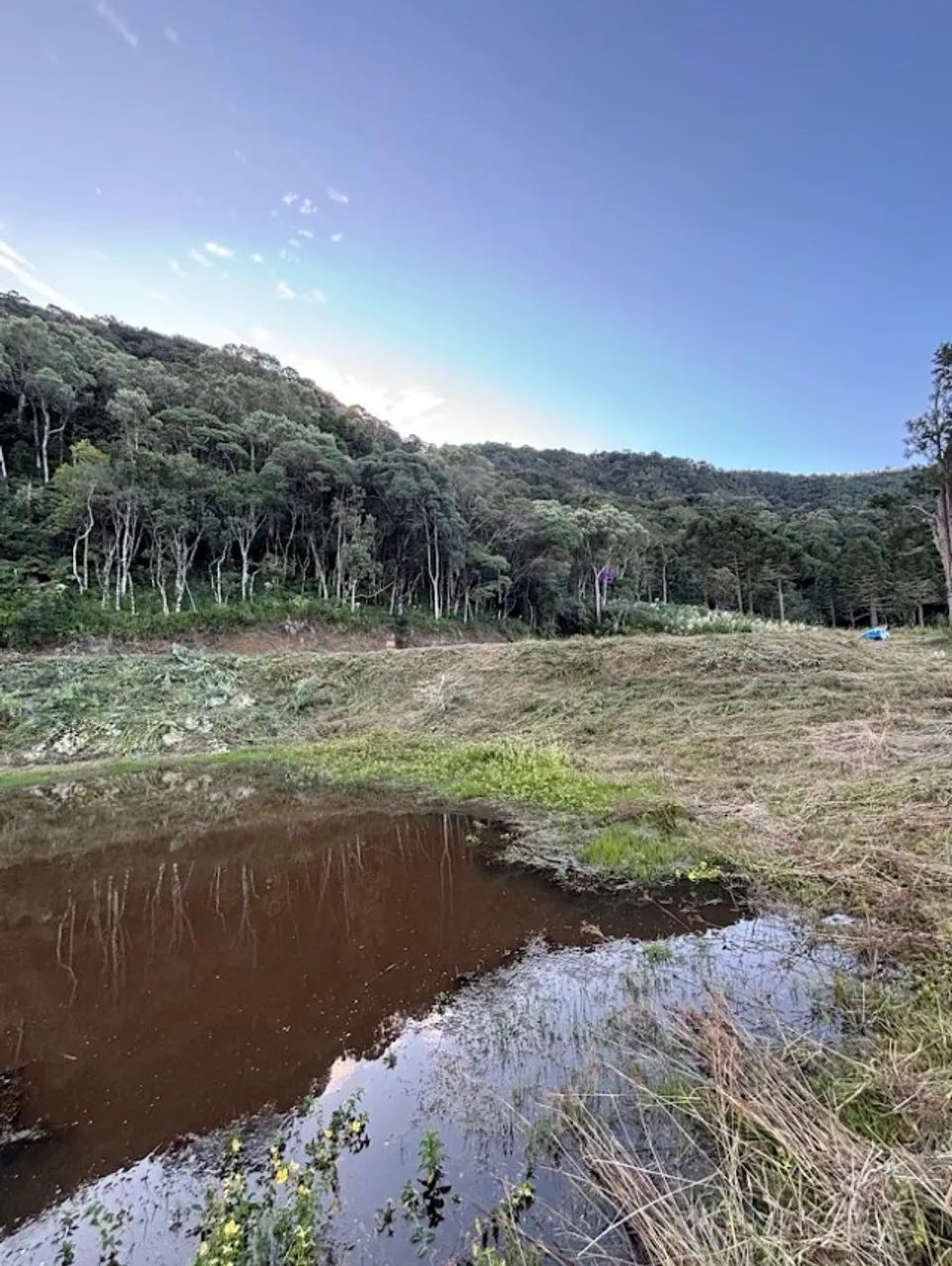 2 HECTARES COM LAGO 