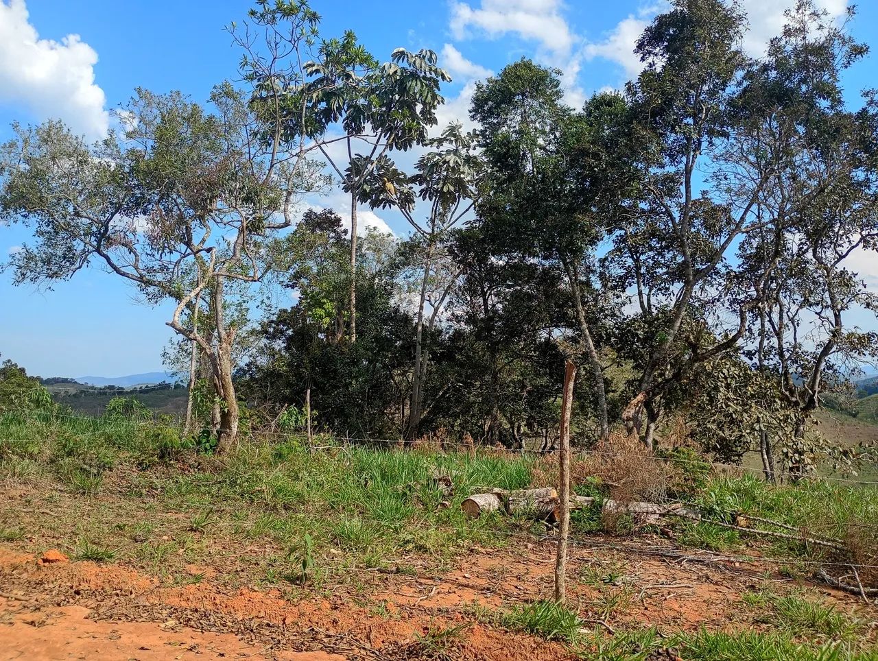 Granja em Pedro Teixeira MG - Foto 2