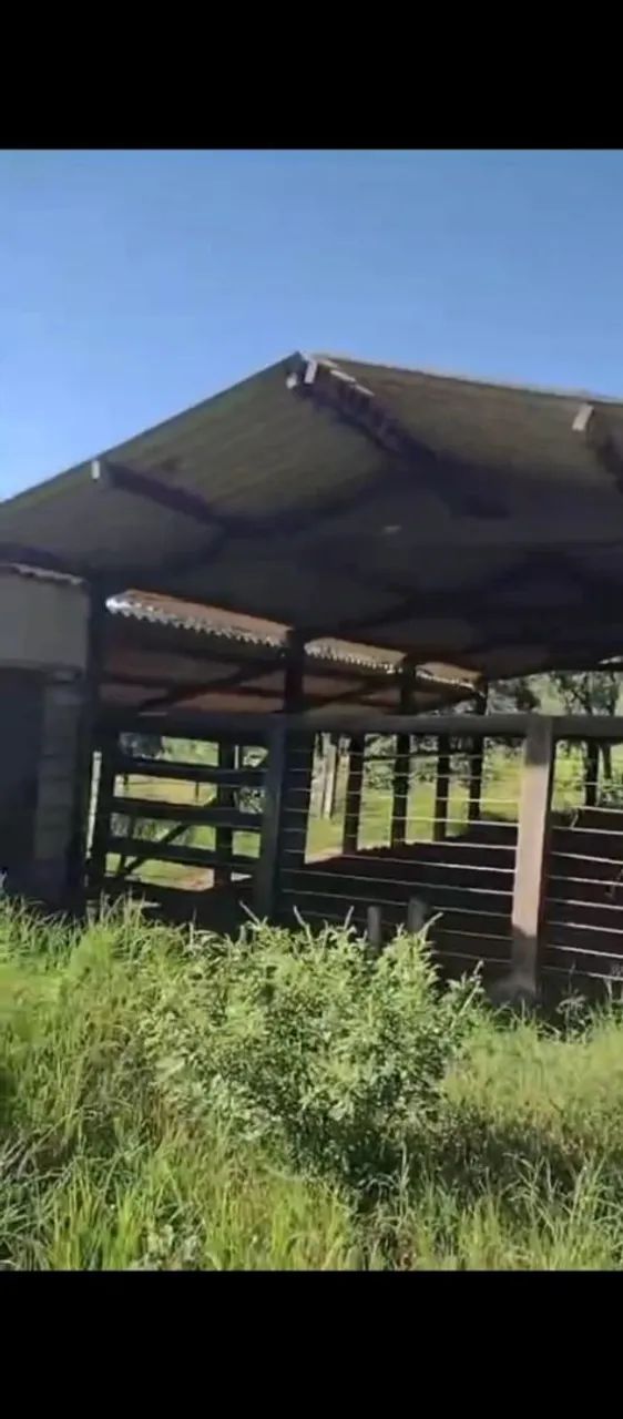 Chácara bela vista  - Foto 2